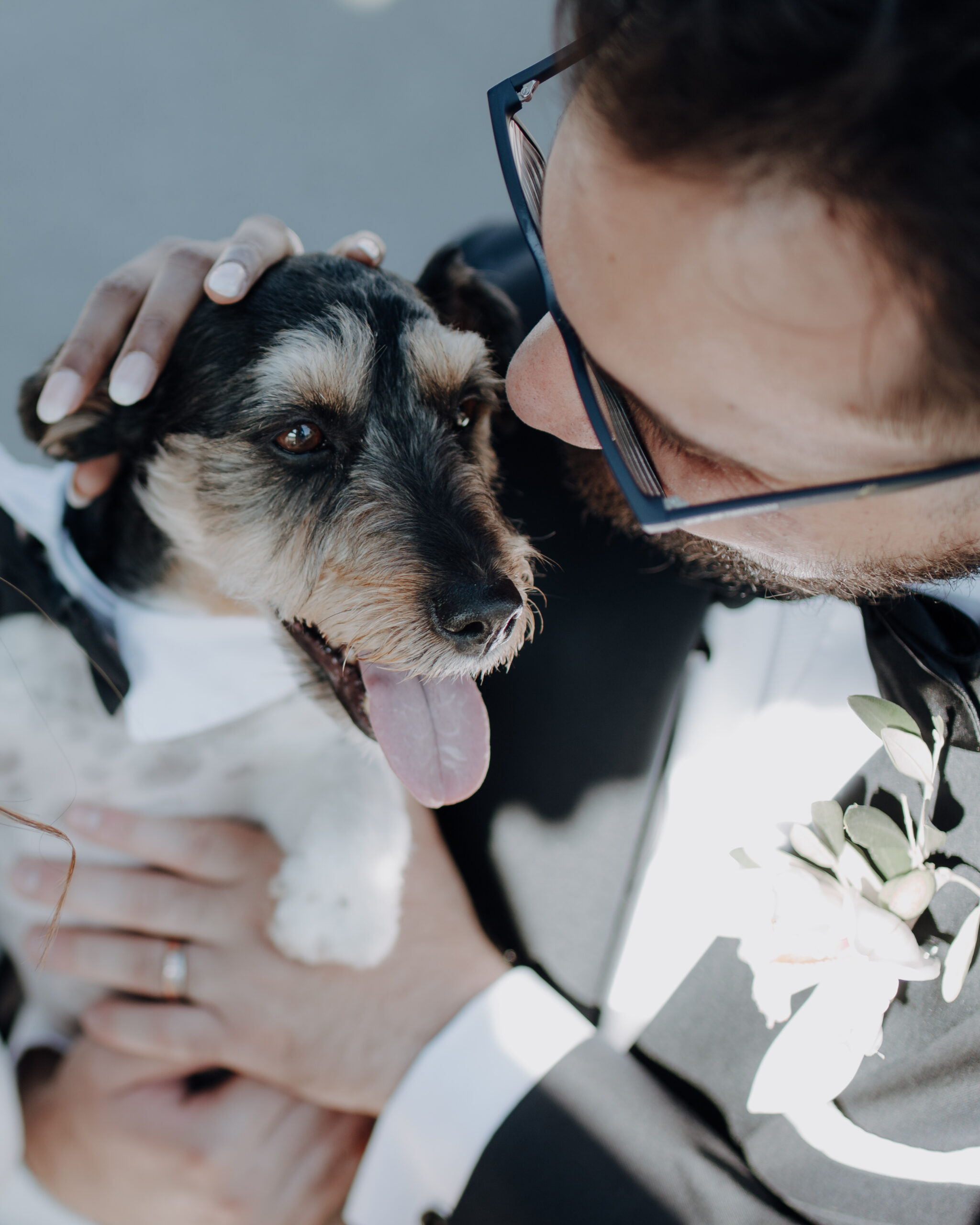 Bräutigam streichelt liebevoll den Familienhund, Nahaufnahme im Sonnenlicht.